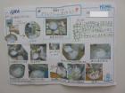 2024sekimachikita09.jpg